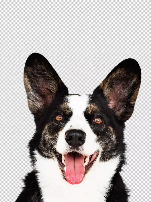 Transparent background